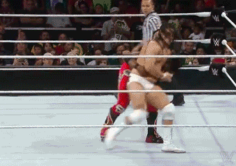 wrasslormonkey:  The ropes are there if you just BOlieve (by @WrasslorMonkey)