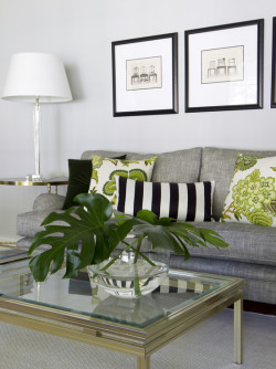 houseandhomepics:  living by Camilla Molders http://www.houzz.com/photos/383583/Camilla-Molders-Design-contemporary-living-room-melbourne