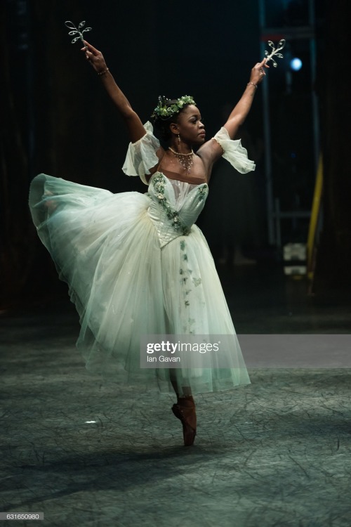 Michaela Deprince Photographed Performing As Myrthe During Giselle By Ian Gavan (source: 1 2)
