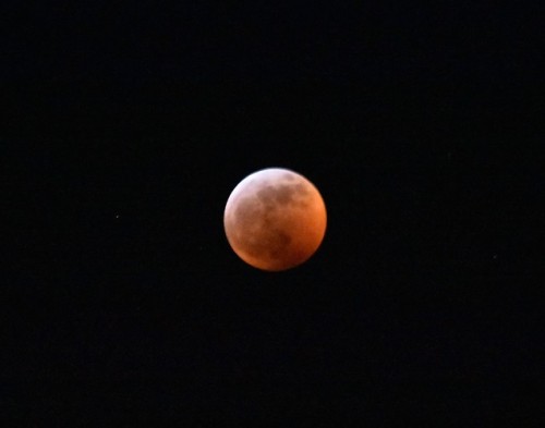coldethyl71: coldethyl71, the super blood wolf moon jan 2019