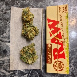 weedporndaily:  Bought me a pack of RAW’s