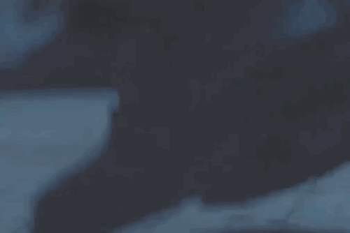 VDS Week 2021 -> Day 3: GIFs/Edits