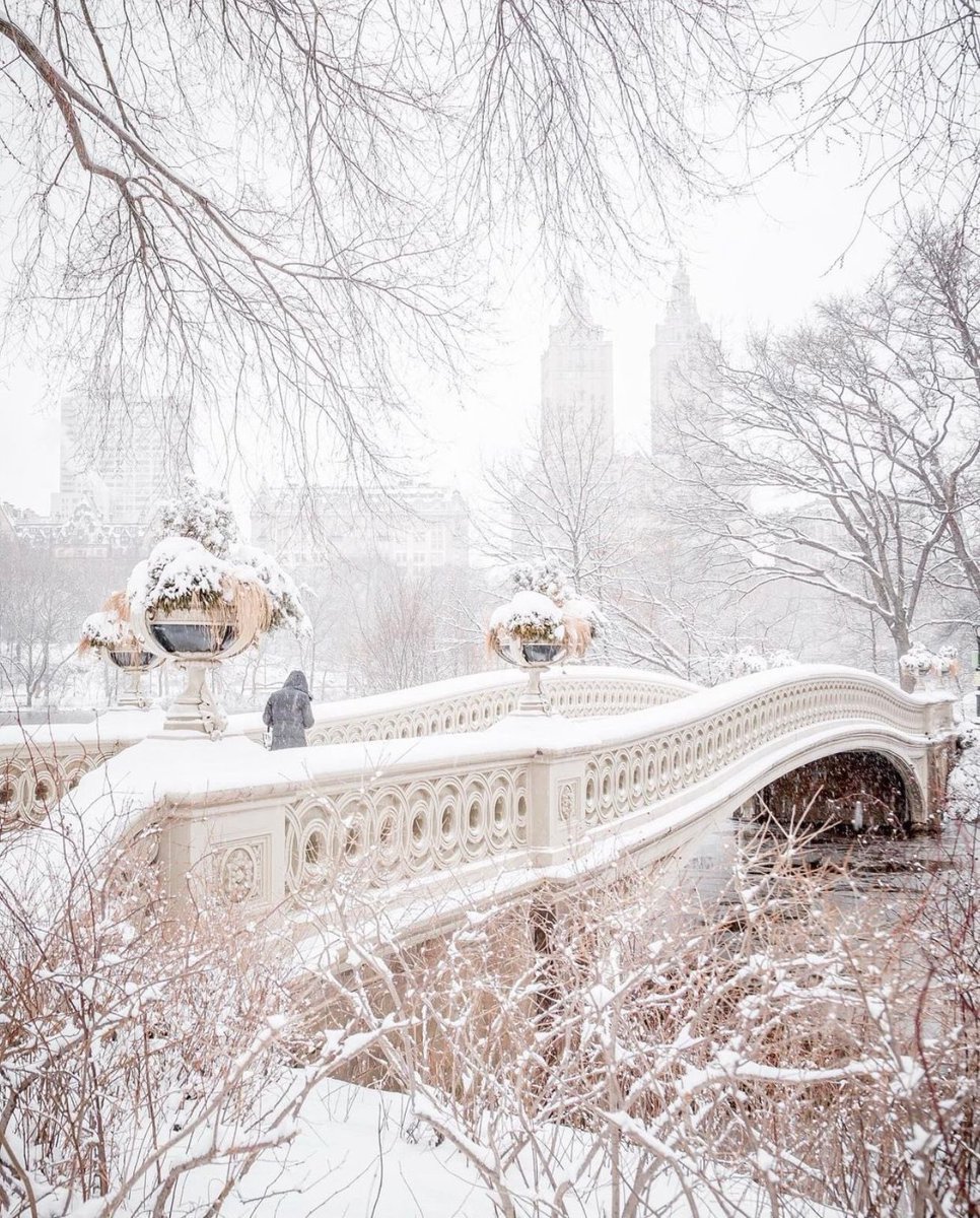 Central Park, NYC...