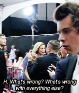 blamestyles:  Harry Edward Styles Everybody. [part 2] + 
