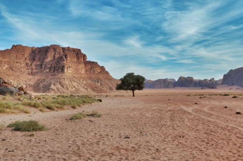 Wadi Rum - Jordan (by annajewelsphotography) Instagram: annajewels