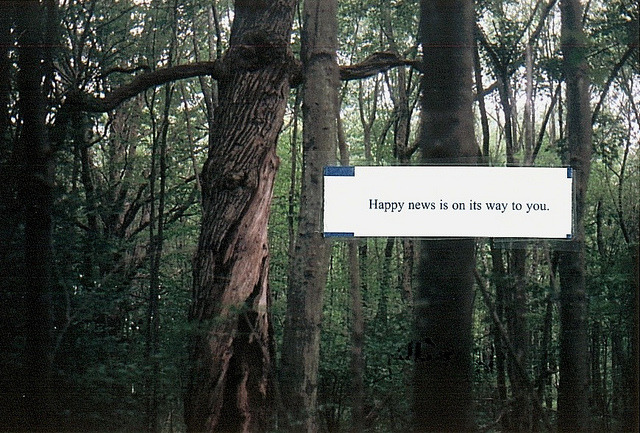 arquerio:  untitled by kmrnhrmlng on Flickr. 