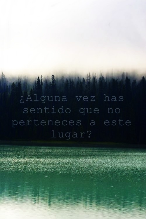 noentiendoloquedices:   