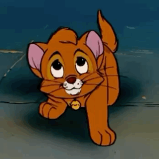 *Oliver Looks Up And Lets Out A Surprised And Happy Meow!*