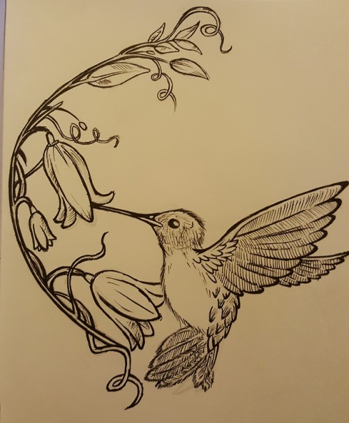 New semester, new project. Gotta draw an entire sketch book full of birds……wonder how 