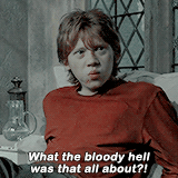 harrypotterdailly: The best of Ronald Weasley - Part I, Part II