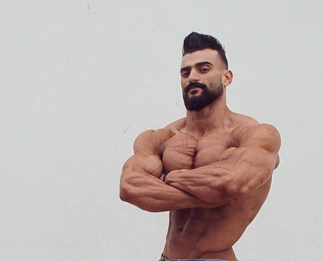 sexymusclebeast7:Mo Qadi (Mohamed Elqadi)