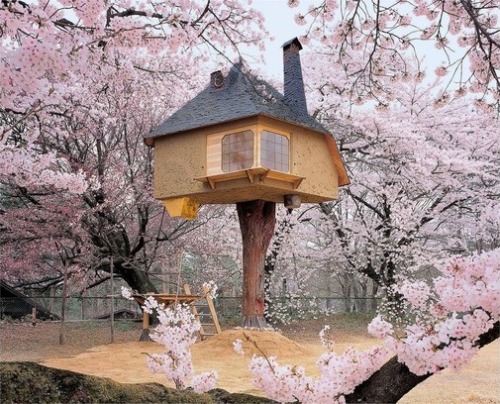 XXX Japanese treehouse-teahouse photo