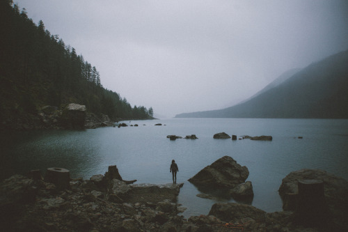 theperksofbeing-infinite:  ++