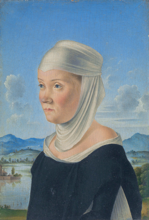 Portrait of a Woman, Jacometto