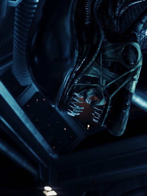 mirkokosmos:Alien: Isolation