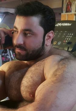 Muscle Bear Wannabe