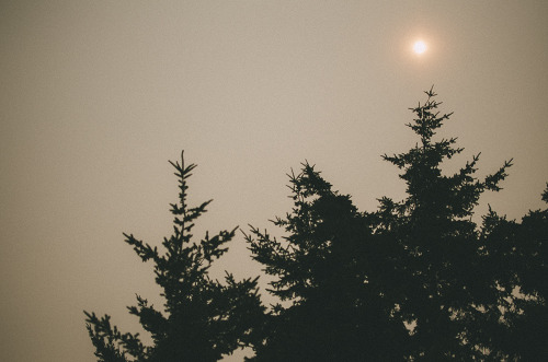 deeplovephotography:  smokey horizons  instagram | flickr | facebook