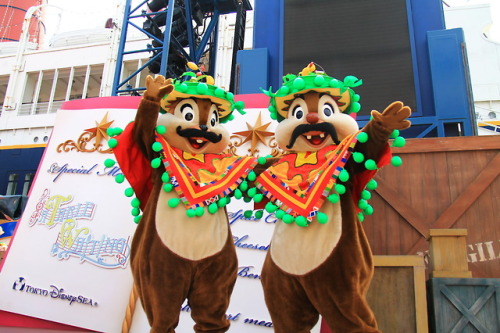 Chip and Dale on A Table is Waiting