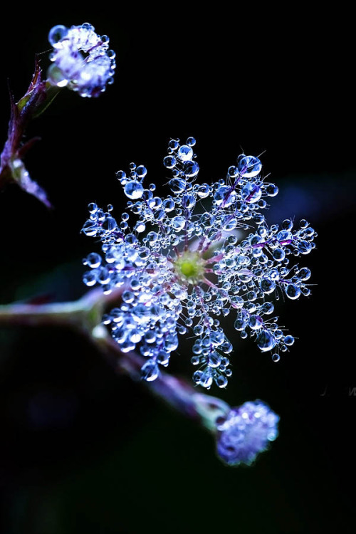 Le Temps des Cristaux…❄