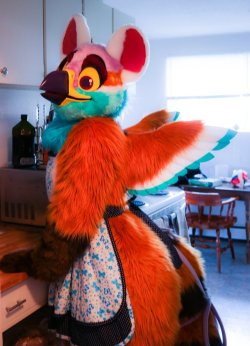 fursuitpursuits:RT @entobird: Ready to get cooking for you! 🍳 #TMITuesday 📷: BattyNix https://t.co/QqdxKuHRML (Source) Nasi’s suit is adorable