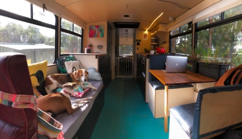 Bus LivingConverting Old Public/School Buses To Homes