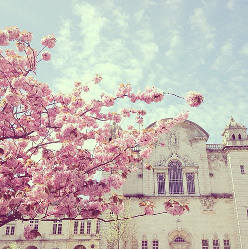 Lwchii . | via Tumblr en We Heart It. http://weheartit.com/entry/68938860/via/iSmack