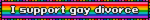 i support gay divorce