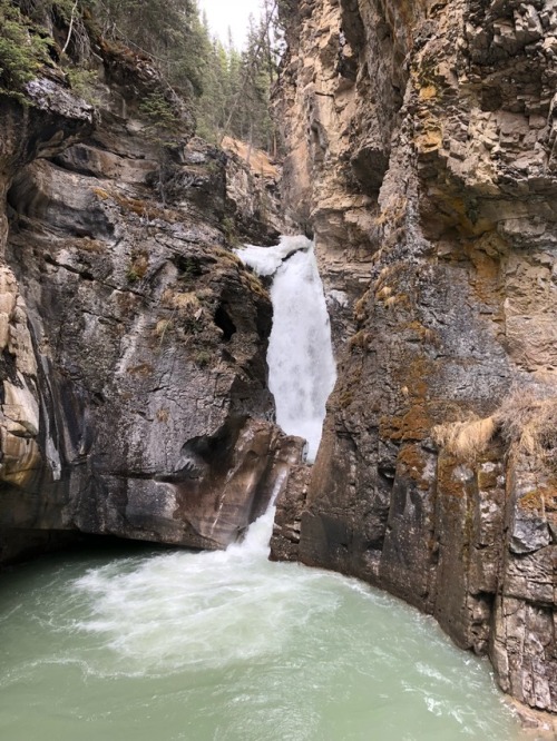 Johnston canyon, Banff, Alberta