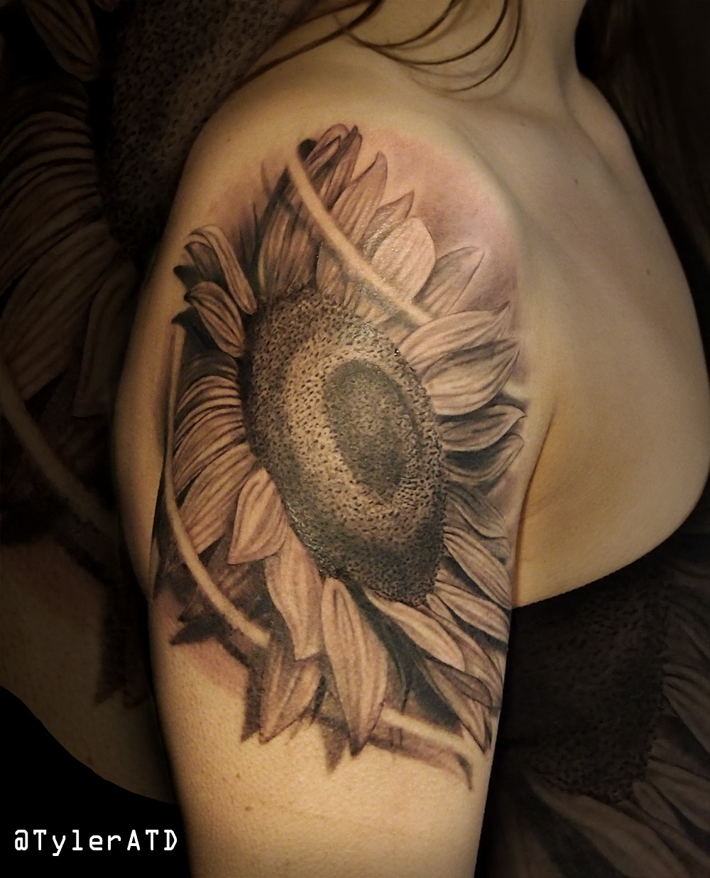 Tyler ATD Tattoos - Realistic black and grey sunflower tattoo....