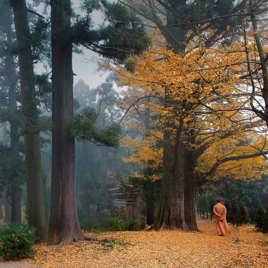 taichi-kungfu-online:  Zen (Chinese: 禪; pinyin: Chán; Korean: 선) is a school