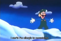 charlenedoofenshmirtz:  luigi i s2g 