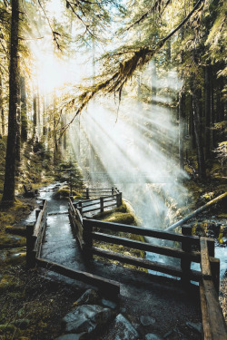 Lsleofskye:  Sol Duc Falls | Namesnotmark  I Love How Much I See This Pop Up On My