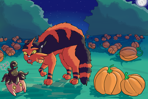 Scaredy CatDrawtober Day 8!Torracat wasn’t expecting any pumpkaboos in the pumpkin patch!
