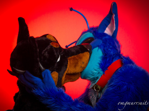 omgmurrsuits:Happy Valentine’s Day everybody. &gt;:) #FursuitFriday #ValentinesDayHappy Valentine’s 