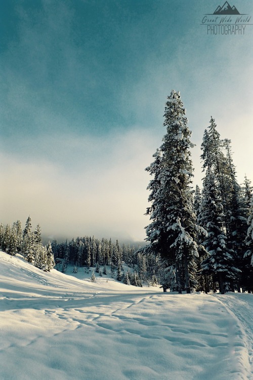 greatwideworldphoto: Instant- 1 | Original by Great Wide World Photography Taken in British Columbia