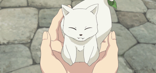 Pafu Pafu~ on Tumblr: Image tagged with anime, anime gif, animated gif