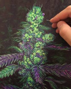 THC for inspiration