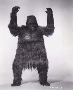 greggorysshocktheater:  Gorilla at Large