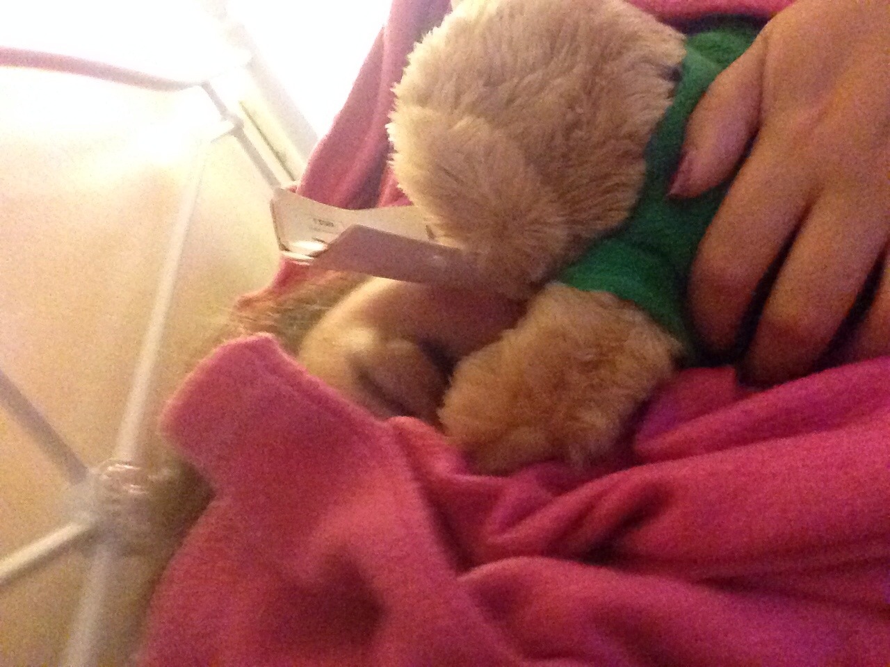 searchingforaprincess:  daddysjandbabyem:  Playing nurse has obviously tired this