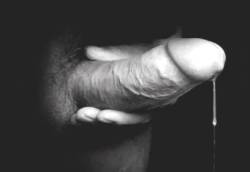 randydave69:  Thick beautiful cock is dripping