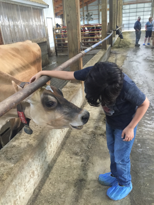 fruitcrocs:  stability:  (Via)  THIS MAKES ME UNBELIEVABLY HAPPY THE COW RECOGNISES ITS OWN KIND ON HIS SHIRT HE DERIVES PLEASURE FROM SEEING ANOTHER COW’S FACE 