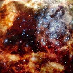 traverse-our-universe:This is the most detailed image we have of R136, the largest stellar nursery near us, located in the Large Magellanic Cloud. (from the book Hubble’s Universe: Greatest Discoveries and Latest Images) 