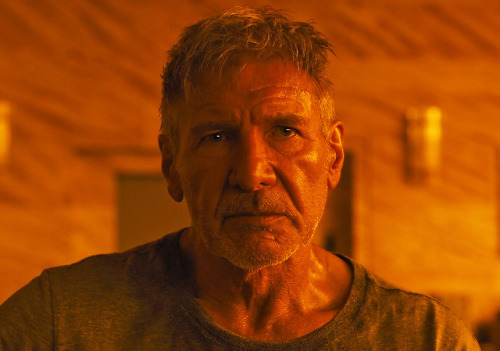 whos-your-silverdaddy:  Harrison Ford in Blade Runner 2049 😍