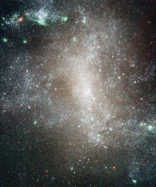 astronomicalwonders:Starburst Within NGC 1313 - A Strange Barred Spiral GalaxyGalaxy NGC 1313 is 50,