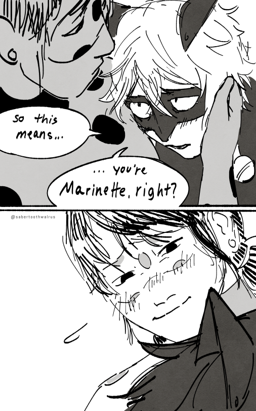 I Uhhhh I Made Another Continuation....