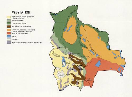 Vegetation map of Bolivia (1971)