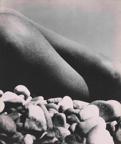 nobrashfestivity:  Bill Brandt, Nude, Baie des Ange, 1959