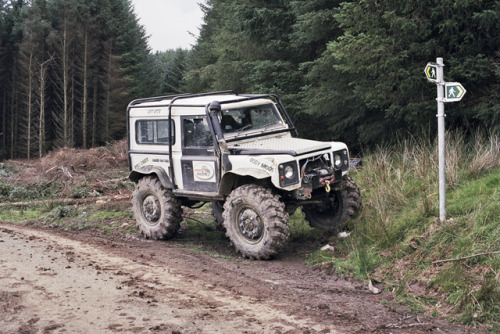 a n g u s f u l t o nDolgellau - Aug 2013