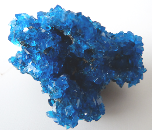 rockon-ro:  CHALCANTHITE (Copper Sulfate) crystals that were grown in a laboratory by allowing a sat