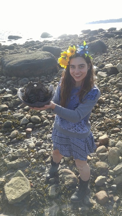 organichaos: I found a huge horseshoe crab wedged between two rocks, stuck real bad, and somewhat wo